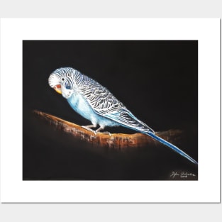 Budgie Posters and Art